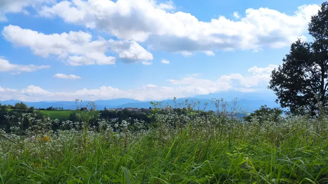 Pietra dell'appuntamento