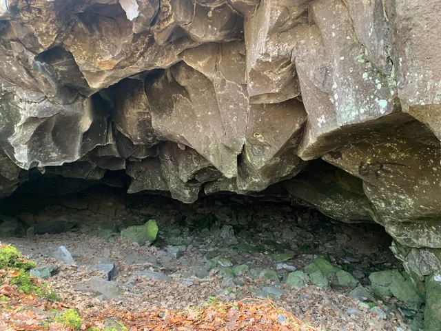 Réserve naturelle régionale des Cheires et grottes de Volvic