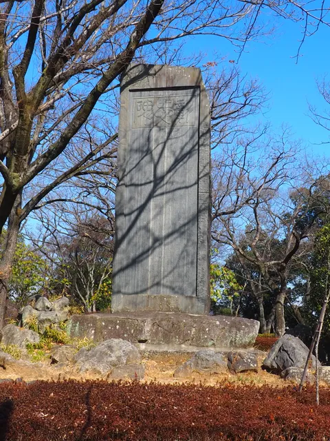 photo-1