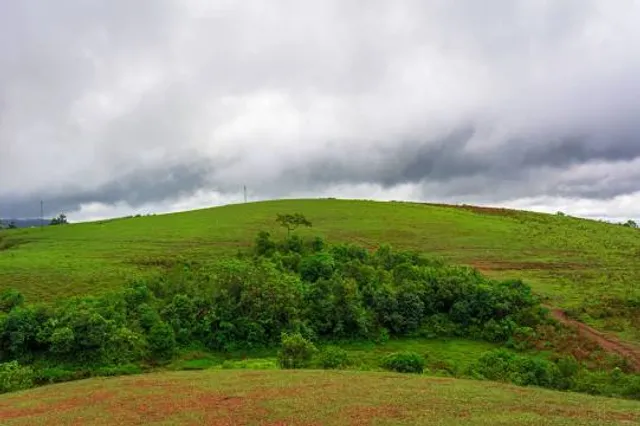 VAGAMON MOTTAKUNNU
