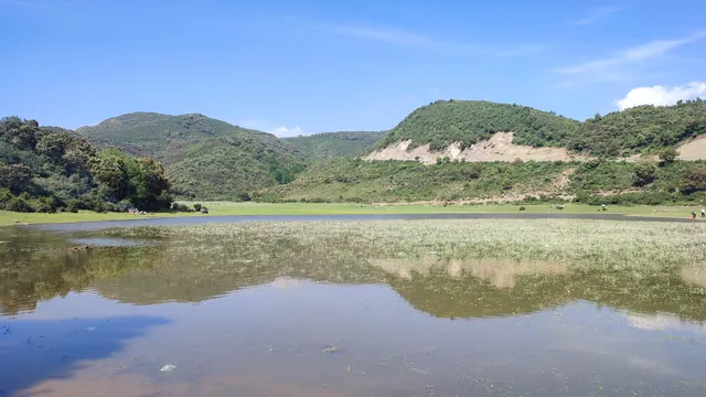 بحيرة الضاية تمزقيدة ولاية المدية