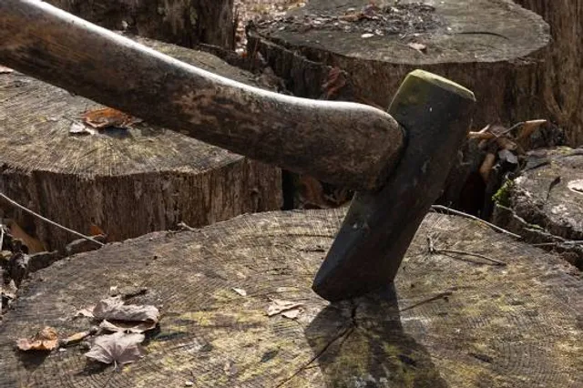 Qilinshan Forest Trail