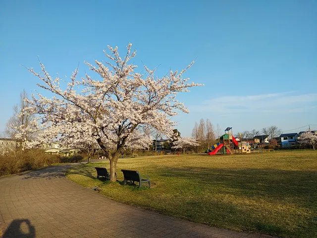 Hiroomotekinrin Park