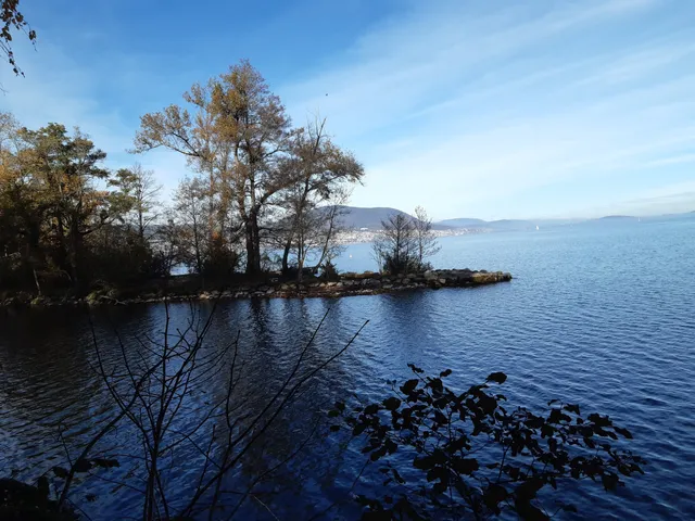 L'embouchure de l'Areuse