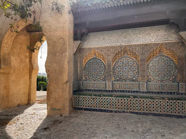 Museum of Contemporary Art