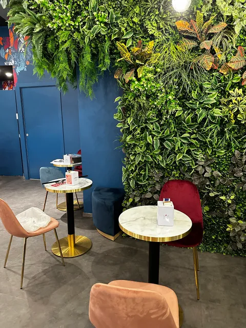 Amodo Livorno Porta a Mare - Bakery, Gelato, Caffè