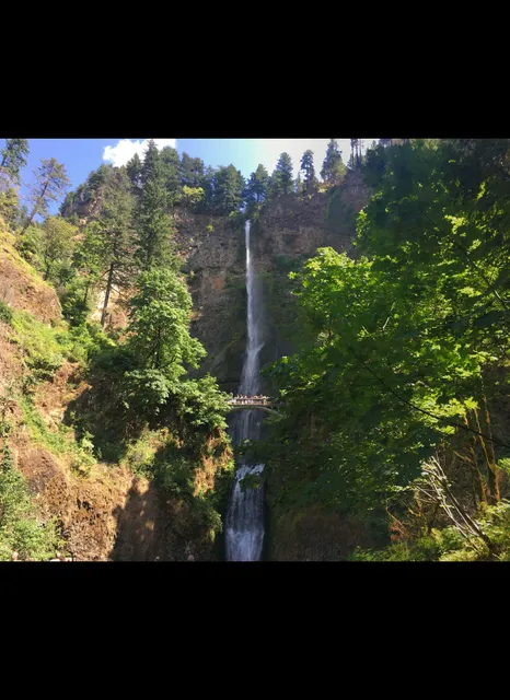 EcoTours of Oregon Day Tours