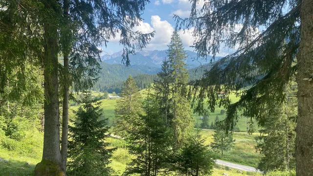 Spitzing Lodge - stayFritz GmbH