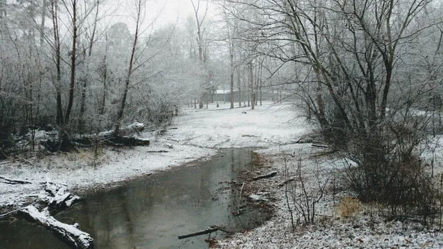 Big Fish Cabins & RV Storage-Lake Sam Rayburn