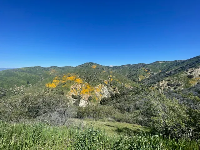 Crafton Hills Trailhead
