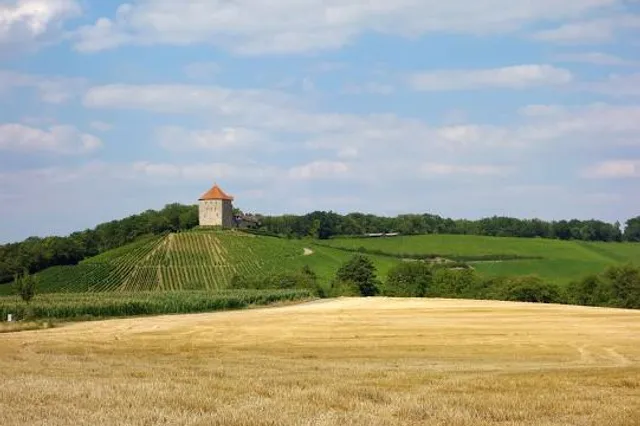 Burgruine Helfenberg