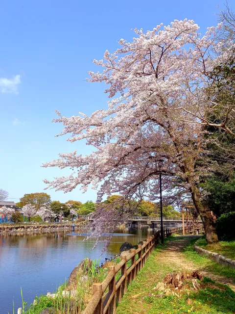 Asaiyama Park