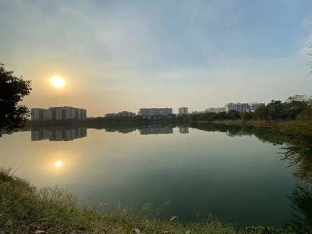 photo-1