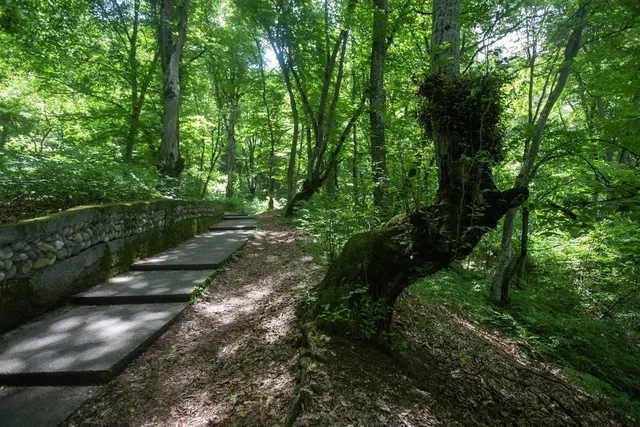 Terrenkur "1000 Stupeney"