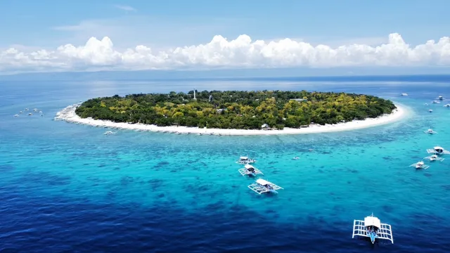 Balicasag Island Panglao Bohol