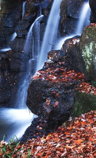 Cachoeira do Lageado