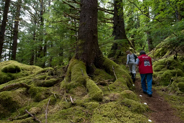 Gwaii Haanas National Park Reserve and Haida Heritage Site
