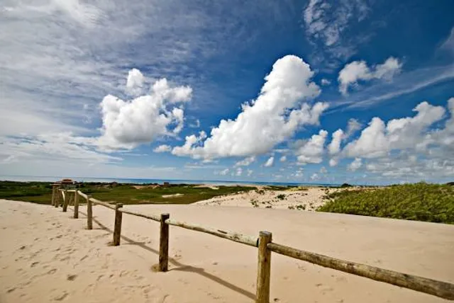 Itaúnas dunes