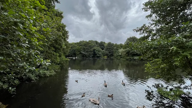 Hill Hook Nature Reserve
