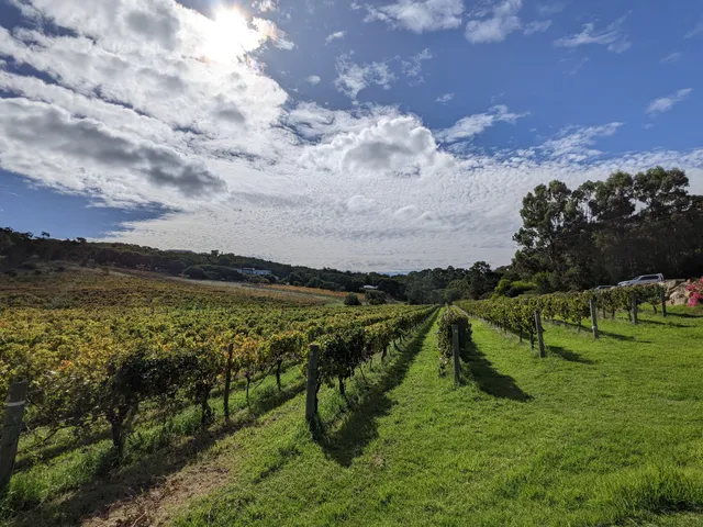 Cape Naturaliste Vineyard