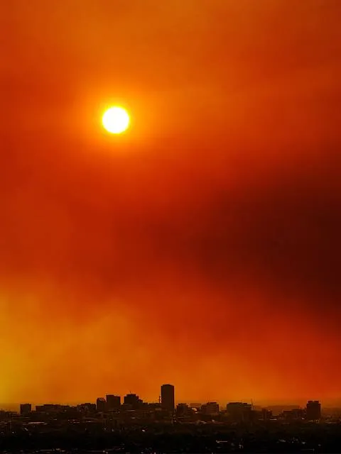 Anstey Hill Recreation Park