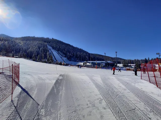 Stok narciarski Gigant