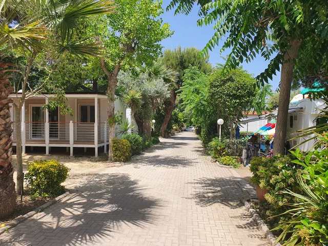 Camping Terrazzo Sul Mare