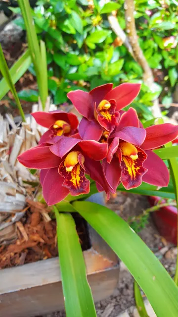 San Diego County Farm Bureau