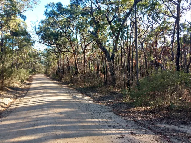 Bargo State Conservation Area