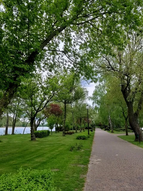 Nadgoplański Park Tysiąclecia