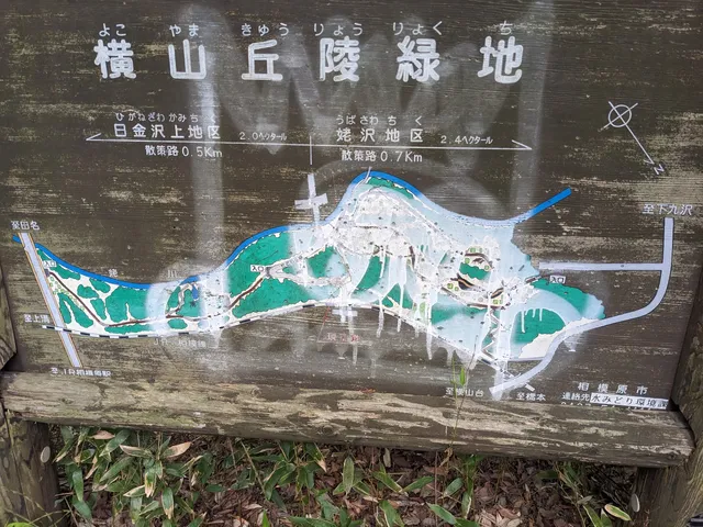 Mountainside Hill Green Area