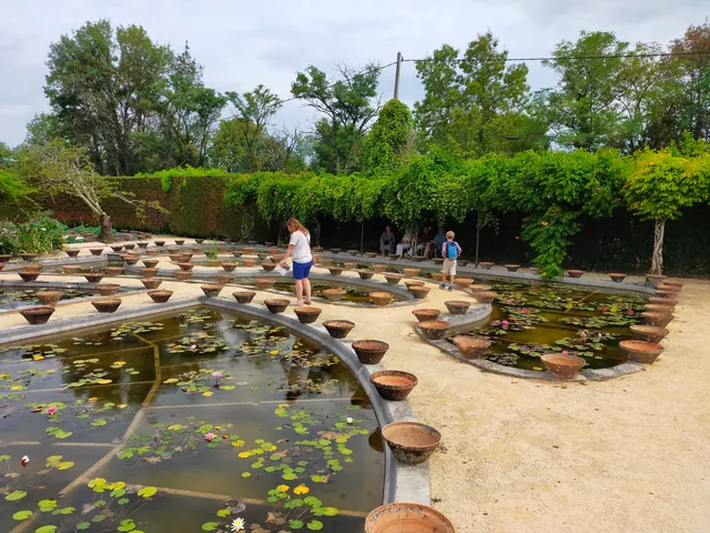 The Garden Of Lilies