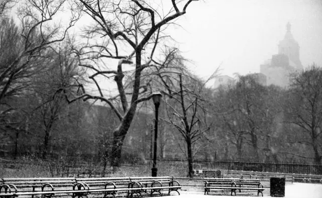 Stuyvesant Square Park
