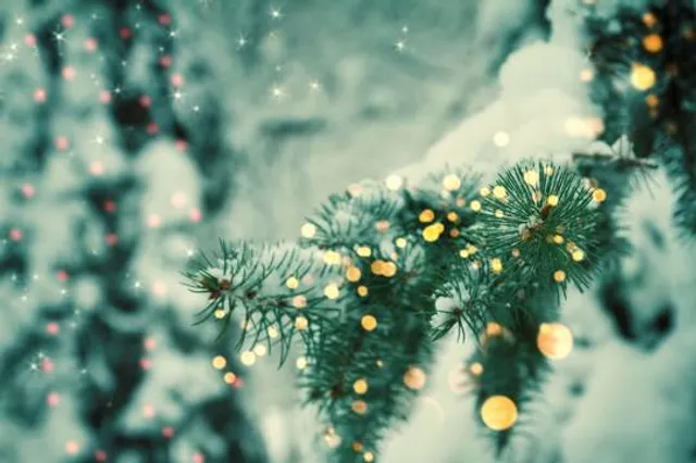 Dynasty Water World Gresik