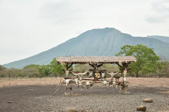 Baluran National Park