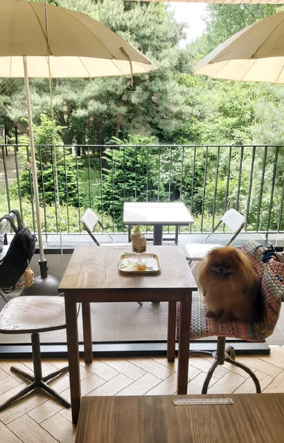 Seongsu Cafe Rafre Fruit | 圣水 Rafre果实咖啡店 | 성수 카페 라프레플루트