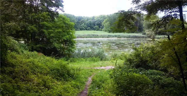 Tivoli Lake Preserve