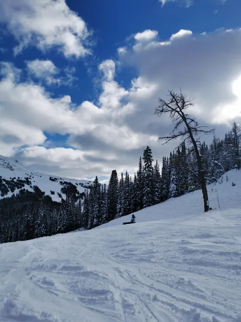 Sunshine Village - Snow Central Office