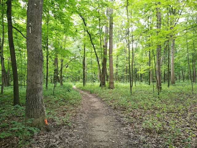 Meacham Grove Forest Preserve