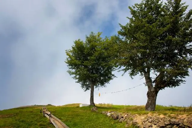 Centennial Park, Munster,IN