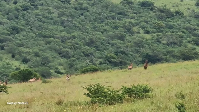 Reserva Natural Mpofu