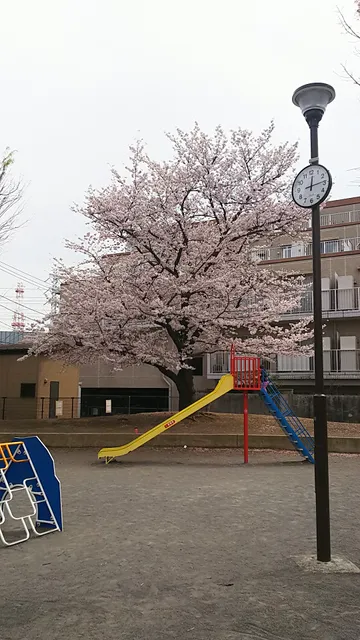 Tsunashimahigashi Sanchome Park