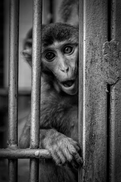 Taman Tingkir Kota Salatiga