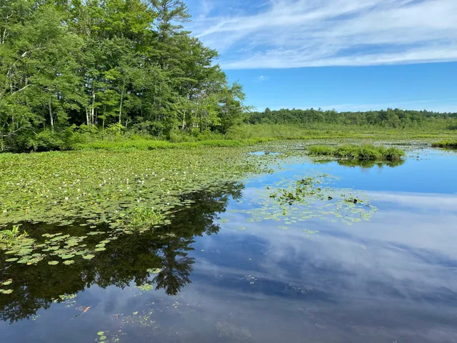 Bristol Blake State Reservation