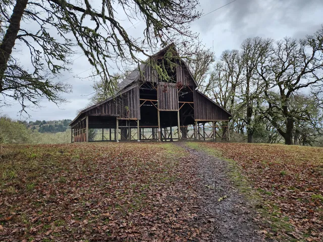 Bald Hill Natural Area