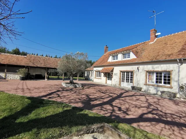 L'olivier de Chémery