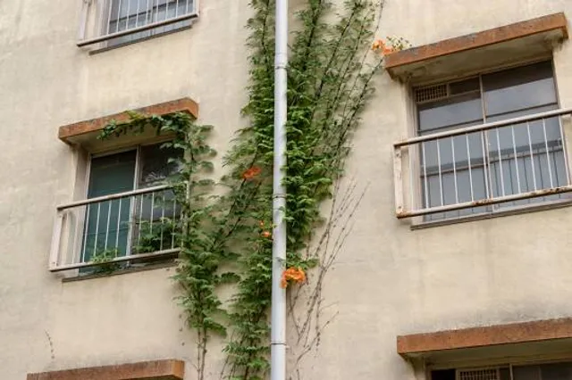 Prestige Bella Vista - Children Play Area