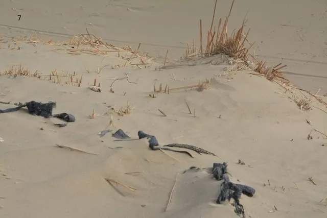 Hotan Cultural Museum