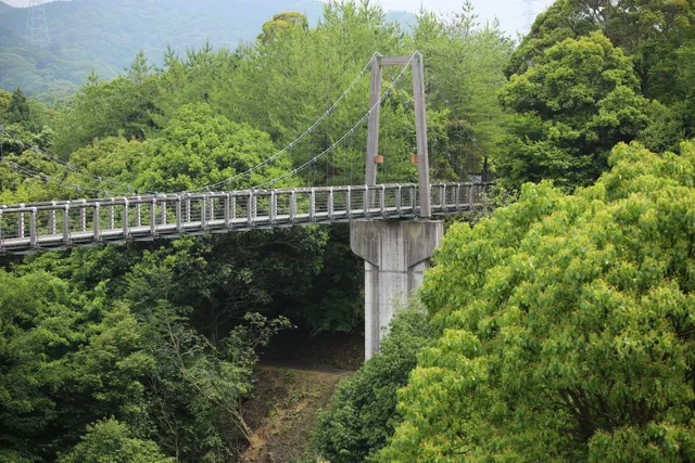 Toyotakohan Park Camping Ground