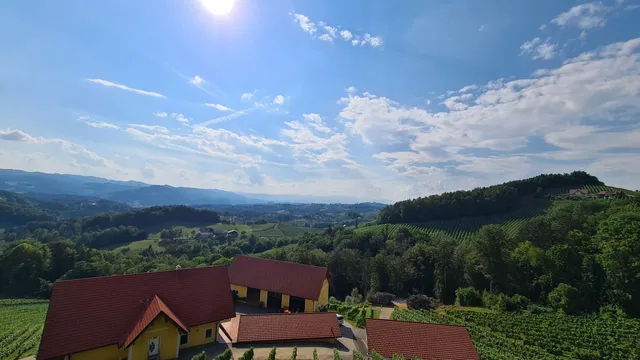 Weingut & Buschenschank Tscheppe